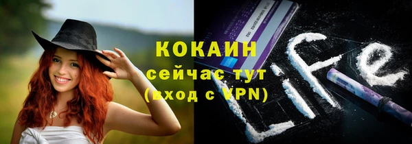 таблы Бородино