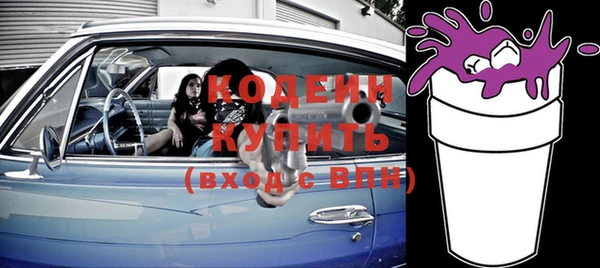 молекула духа Бронницы