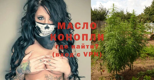 таблы Бородино